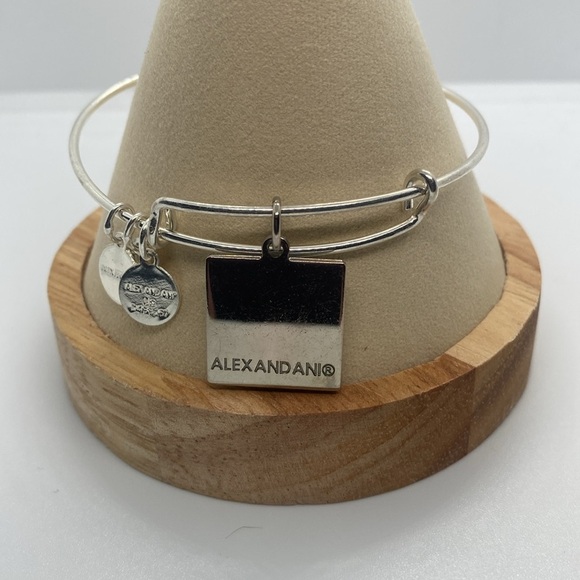 Alex & Ani Set of 2 Shiny Silver Bangles /Family/Colored Heart Charms/EUC - Picture 7 of 9